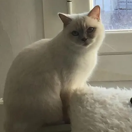 The White Cat's House Historical Center 5mn To Sea Appartement *